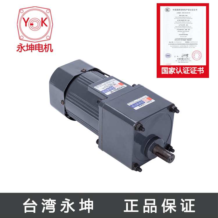 微型三相交流異步電動機(jī)